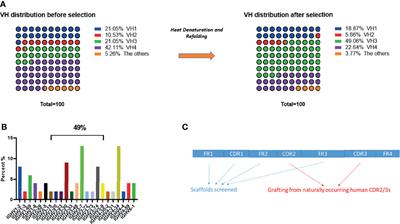 Construction of a Large Size Human Immunoglobulin Heavy Chain Variable (VH) Domain Library, Isolation and Characterization of Novel Human Antibody VH Domains Targeting PD-L1 and CD22